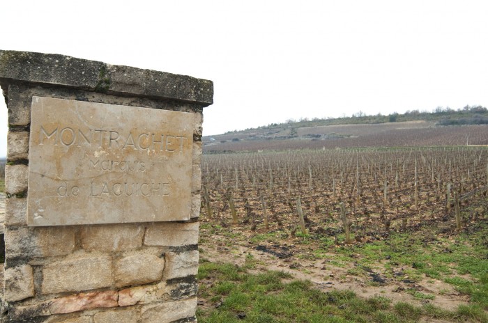 モンラシェ、熟成するシャルドネ。白ワイン最高の土地