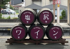 日本ワイン・塩尻特集 vol.1 日本を代表する銘醸地 「塩尻ワイン」10本